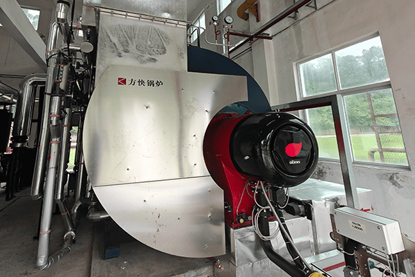 广东某制药厂使用方快过来的10吨燃气蒸汽锅炉