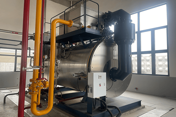 湖北某生物科技公司使用方快锅炉一台6吨燃气蒸汽锅炉案例