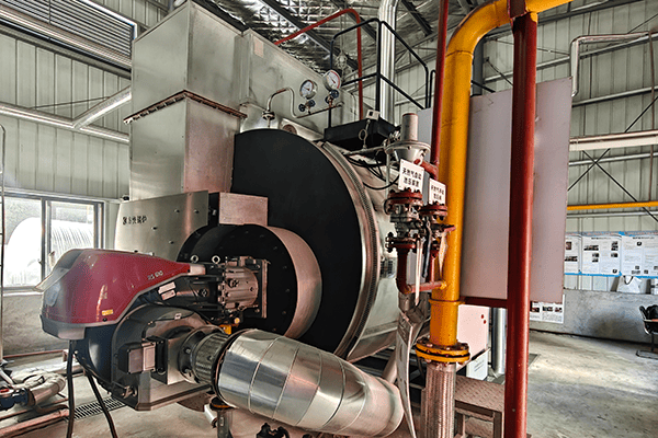 正清源畜牧实业有限公司使用方快锅炉一台6吨燃气蒸汽锅炉案例