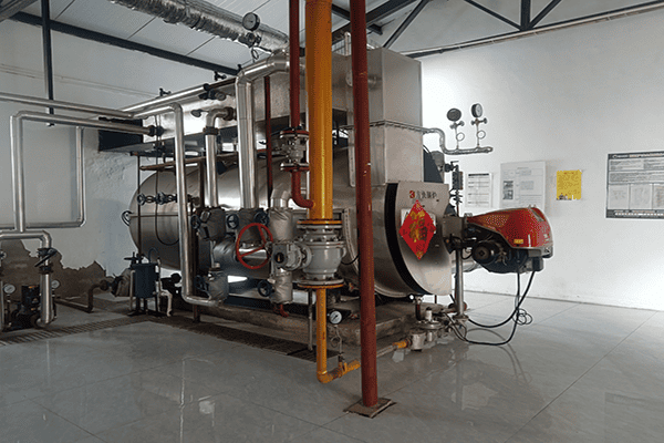 江苏大信饲料有限公司一台2吨燃气蒸汽锅炉案例
