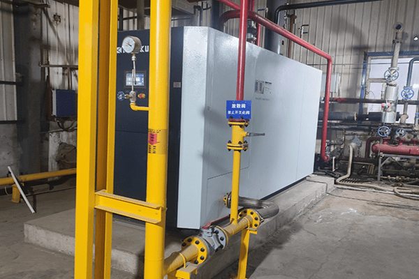 昌吉慧尔智联生态有限公司使用方快锅炉一台4吨燃气热水锅炉案例