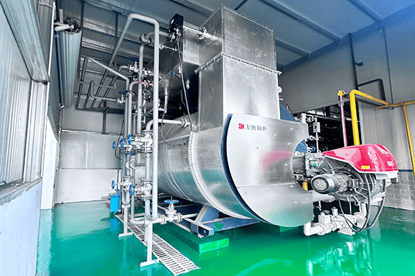 湖北鼎龙控股股份有限公司一台燃气蒸汽锅炉案例